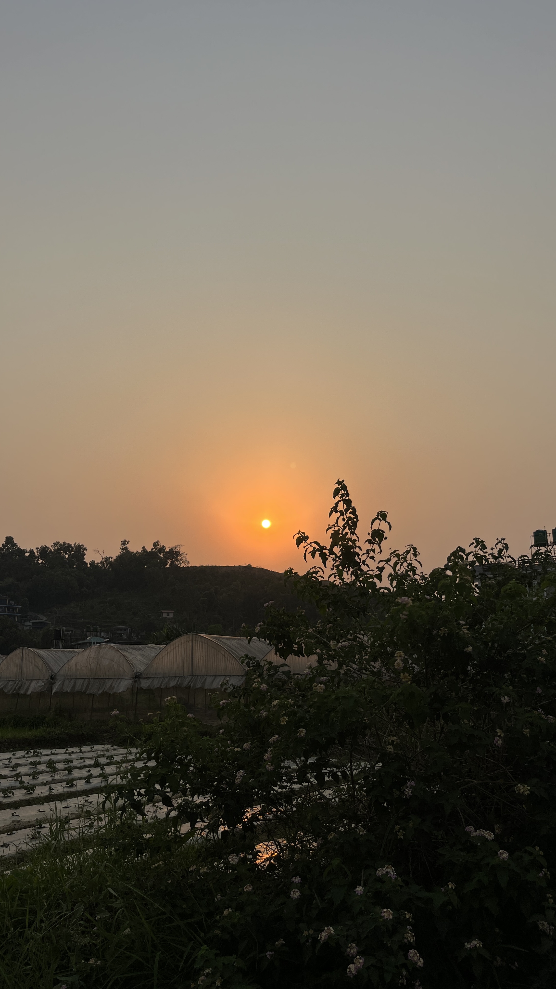 A serene sunset scene over a rural landscape, featuring a glowing sun setting behind a distant hill.